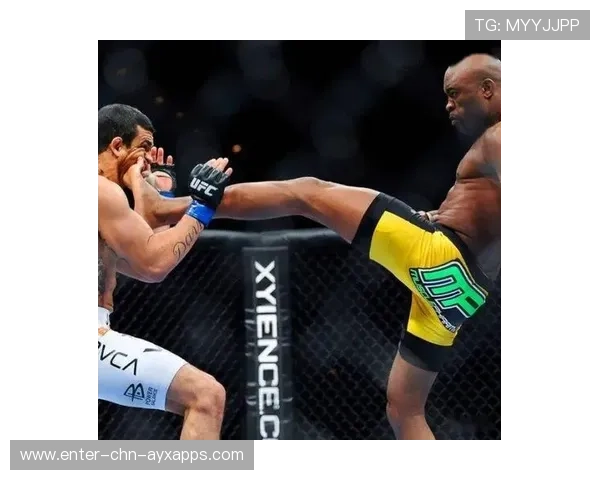 UFC站立拳法与防守反击训练：制胜的关键